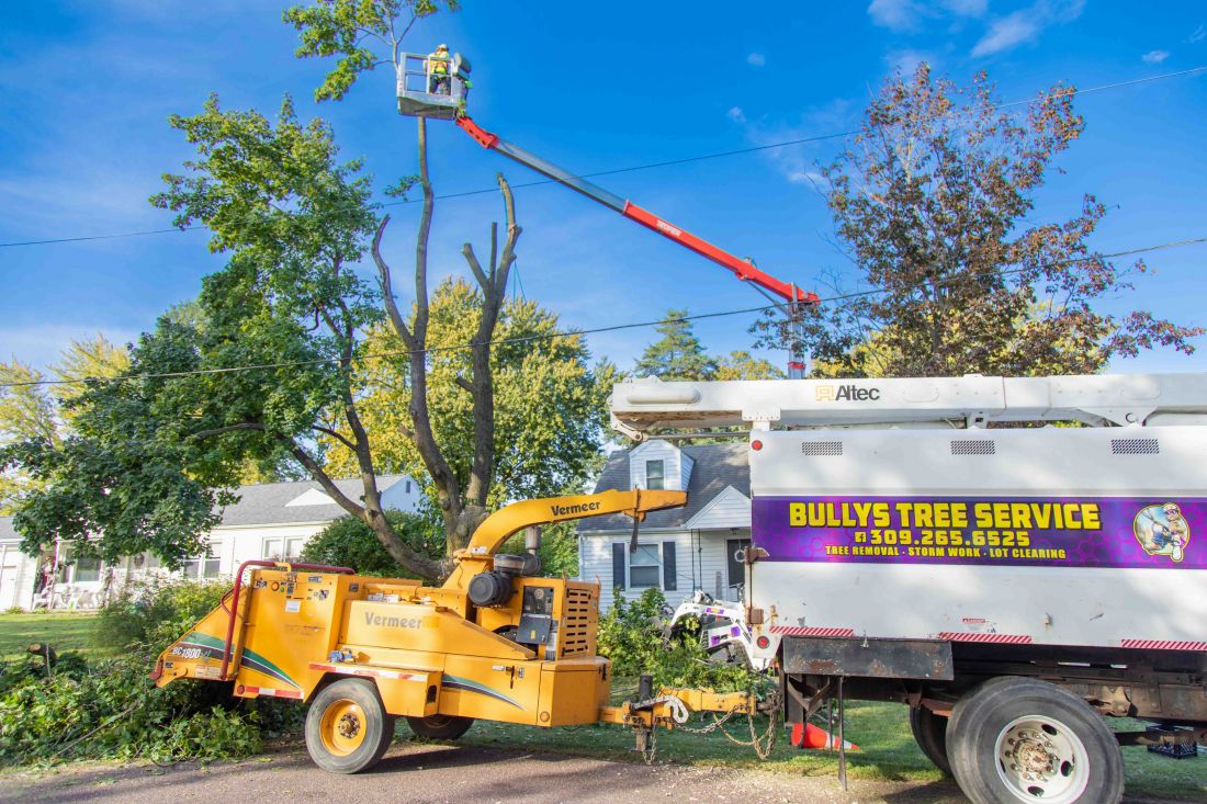 Tree Service in Morton, IL