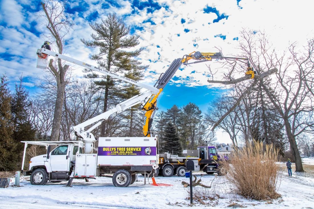 Emergency Tree Service in Peoria, IL